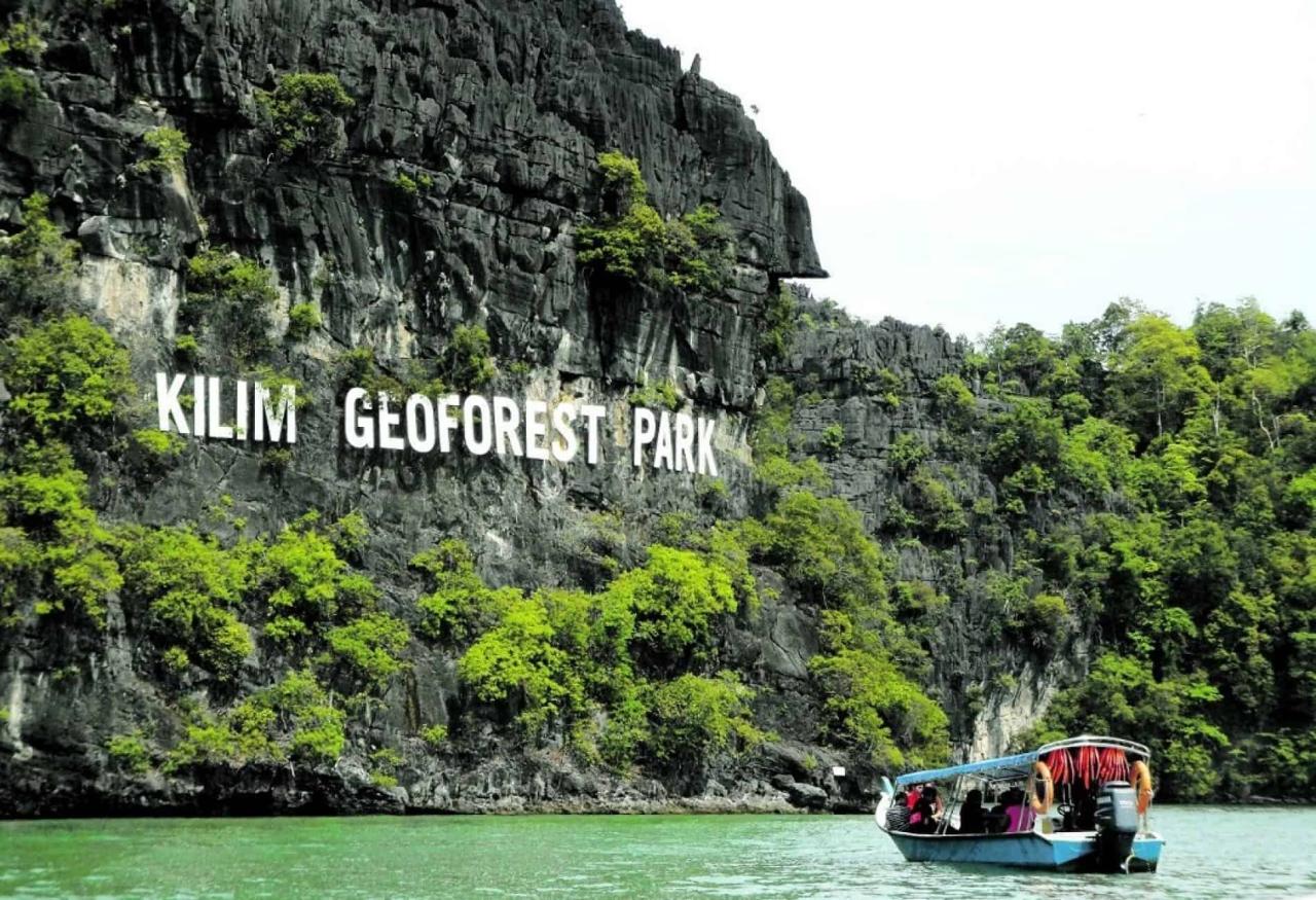 Jelajahi Ekosistem Unik Mangrove Langkawi dengan Mangrove Tour