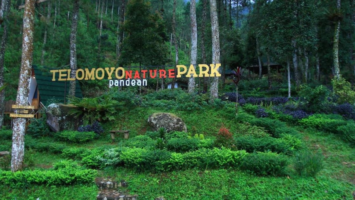 Telomoyo Nature Park: Destinasi Menakjubkan di Lereng Gunung Merapi